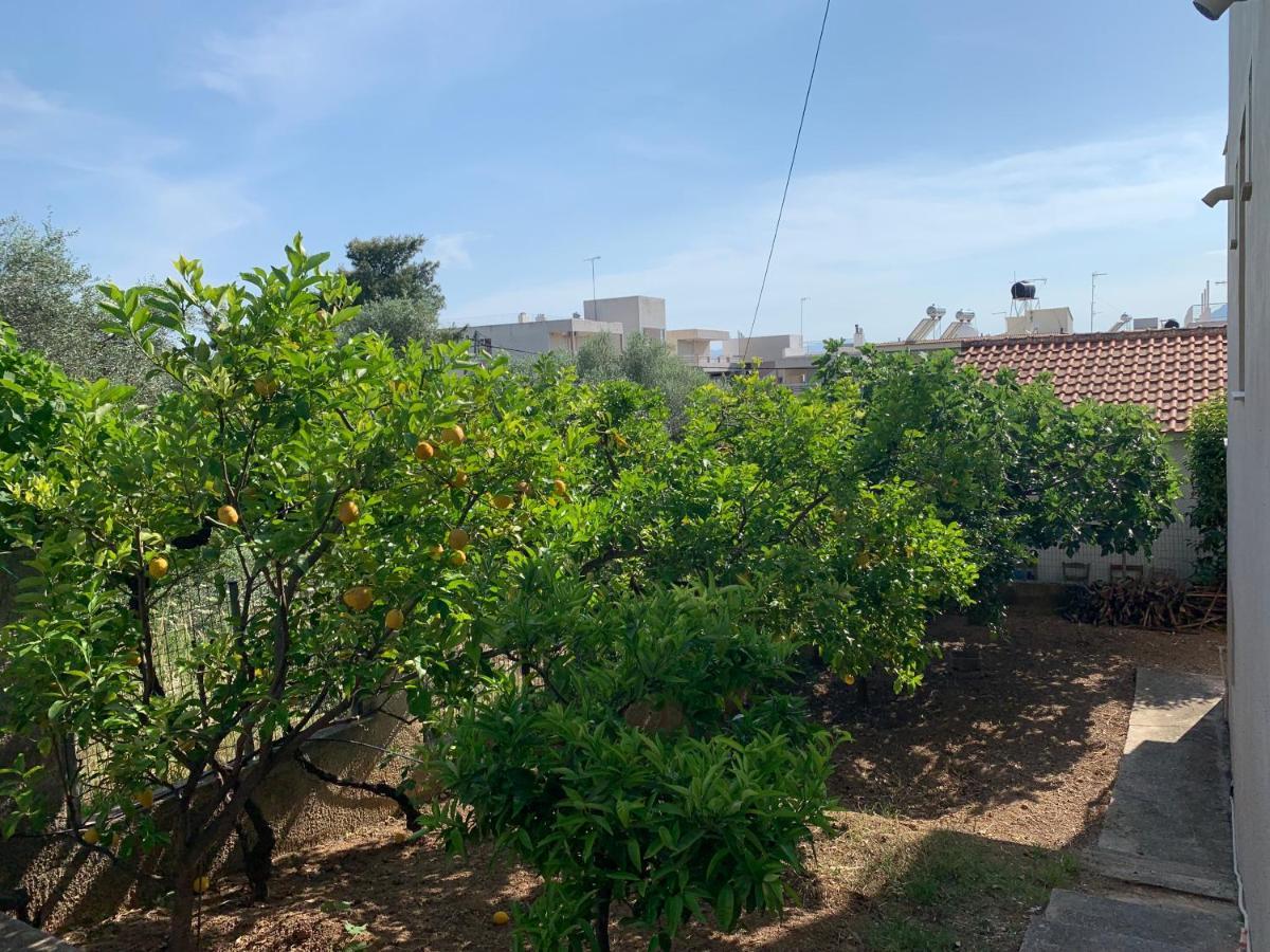 Aparthotel Αβαντιάς Abantias Loutra Edipsou  Esterno foto